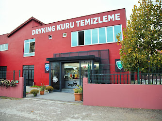 Dryking Kuru Temizleme, Halı Yıkama ve Çamaşırhane