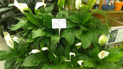 Hardware Store «Hagan Ace Hardware», reviews and photos, 6567 US-90, Glen St Mary, FL 32040, USA