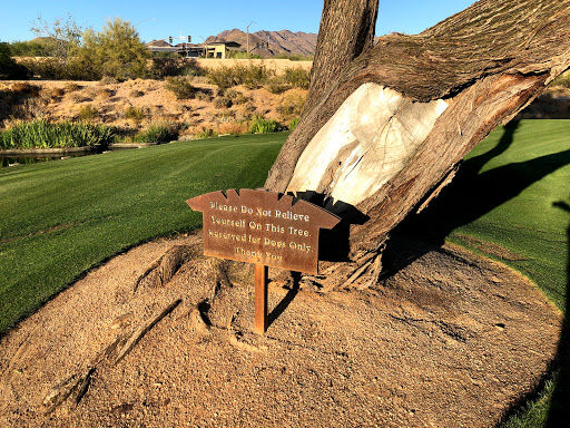 Golf Course «Grayhawk Golf Club», reviews and photos, 8620 E Thompson Peak Pkwy, Scottsdale, AZ 85255, USA