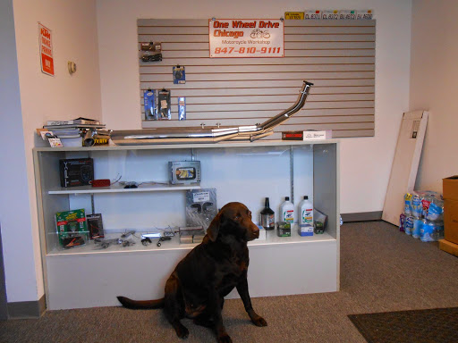 Motorcycle Shop «One Wheel Drive Chicago Inc», reviews and photos, 888 Tower Rd Unit M, Mundelein, IL 60060, USA