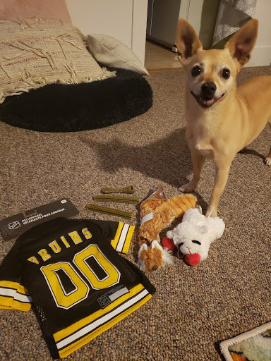 Pet Supply Store «Pet Supplies Plus», reviews and photos, 101 Sutton Ave, Oxford, MA 01540, USA