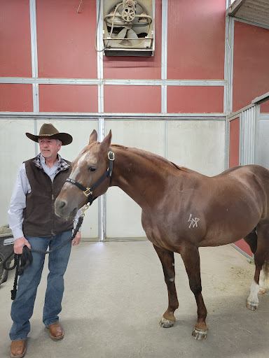 Horse breeder Fort Worth