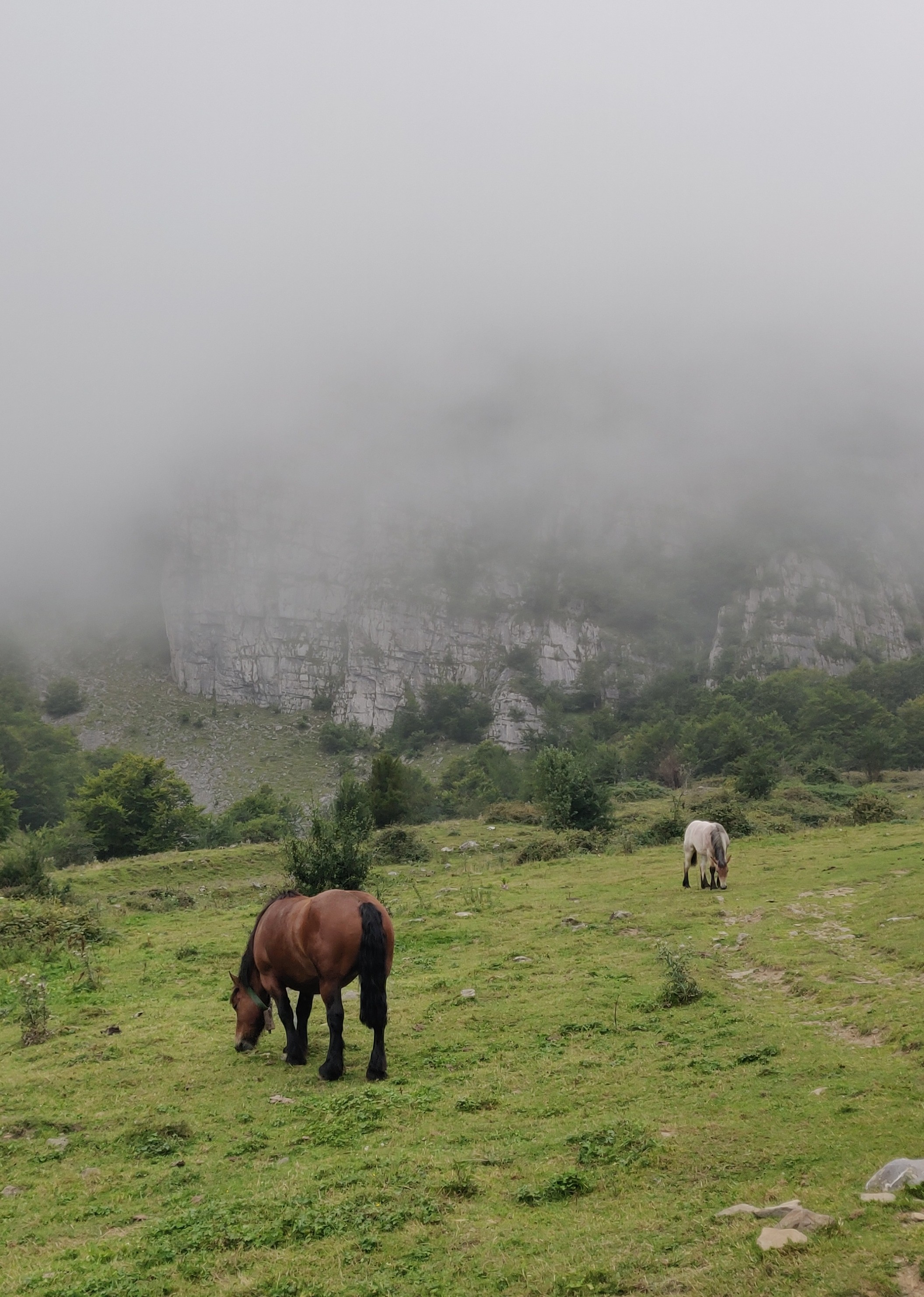 Photo n° 7 de l'avis de Clémentine.e fait le 26/08/2021 à 16:42