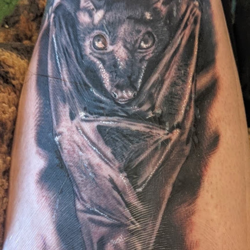 Explore anchor tattoo ideas for men, creative tattoo ideas in Lake Villa, available at Eternal Tiger Tattoo