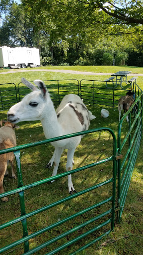 Golf Course «Meadowlark Golf Course», reviews and photos, 11599 31st St, Hinsdale, IL 60521, USA