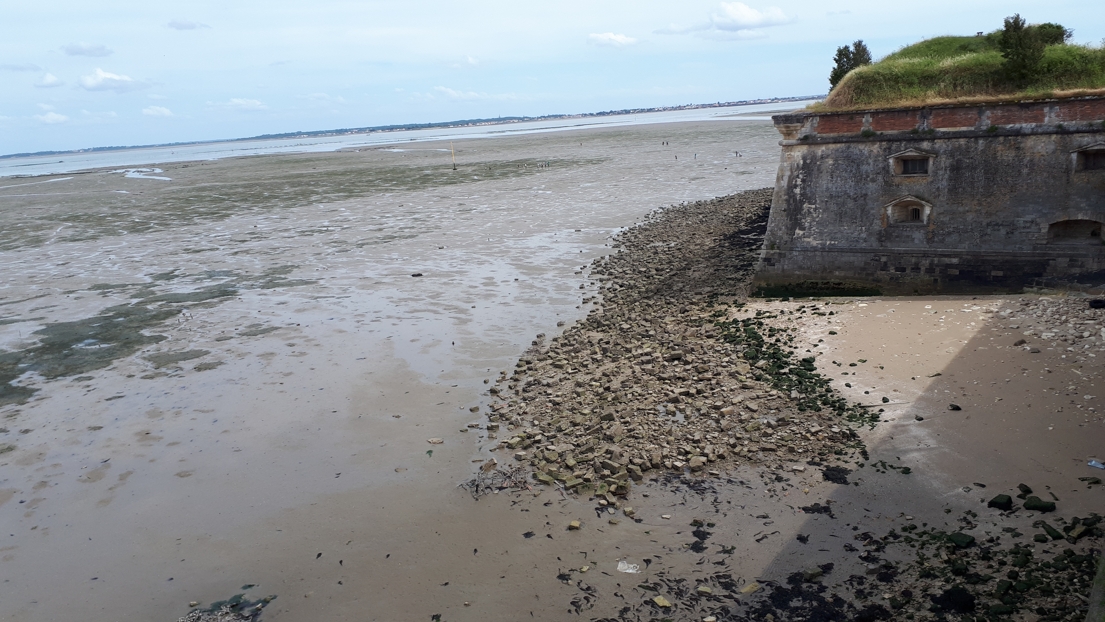 Photo n° 1 de l'avis de Christophe.e fait le 08/06/2019 à 14:57