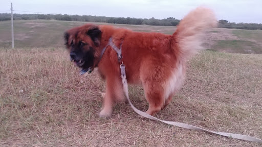 Park «Pearsall Park», reviews and photos, 4838 Old Pearsall Rd, San Antonio, TX 78242, USA