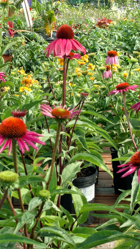 Garden Center «Agriventures Agway», reviews and photos, 126 Housatonic Ave, New Milford, CT 06776, USA