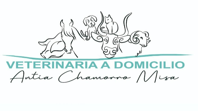 Avaliações doVeterinaria a domicilio Antía Chamorro Misa em Valença - Veterinário