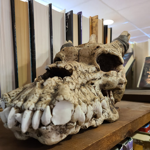 Book Store «Mojo Books & Records», reviews and photos, 2540 E Fowler Ave, Tampa, FL 33612, USA