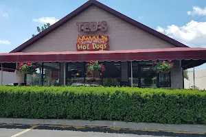 Ted's Hot Dogs image