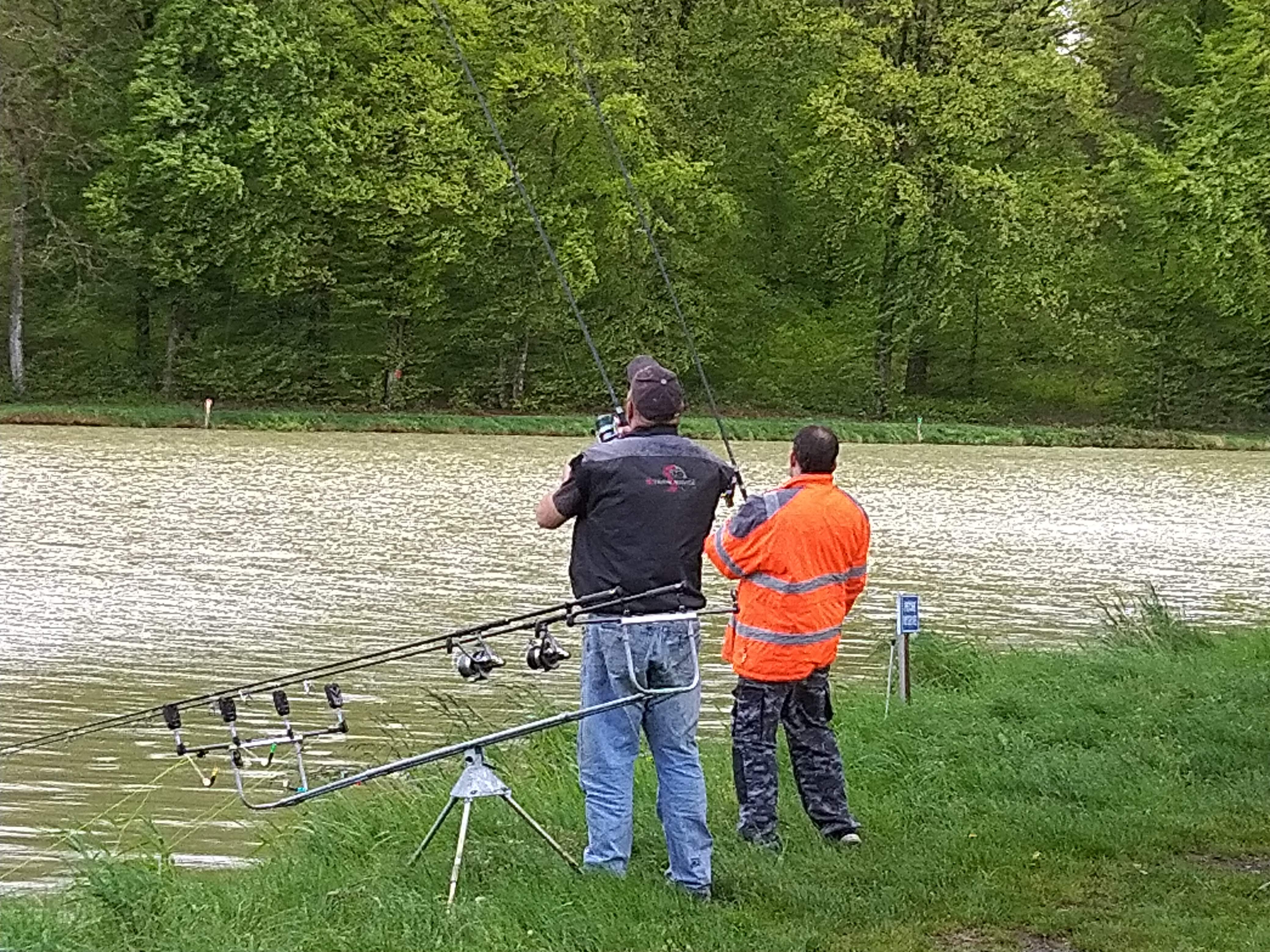 Photo n° 1 de l'avis de Christel.e fait le 19/05/2019 à 06:38