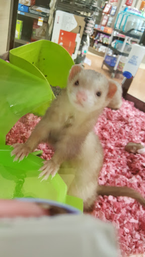 Pet Supply Store «Petco Animal Supplies», reviews and photos, 2250 Petrie Ln #518, Lanham, MD 20706, USA