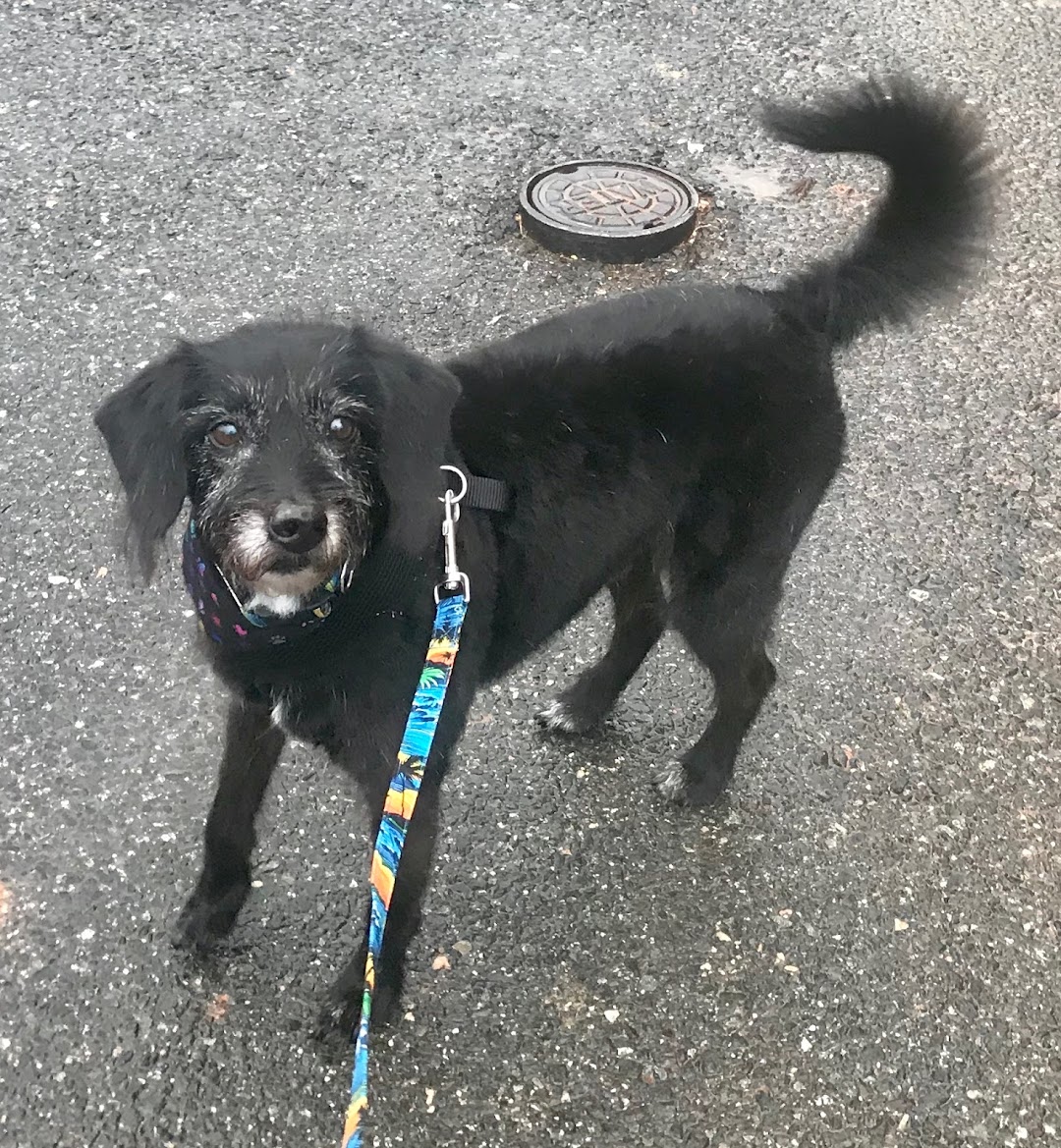 Dog Bites Munchery & More, LLC