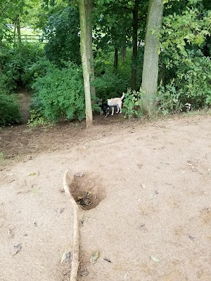 Scout Dog Park - photo 17