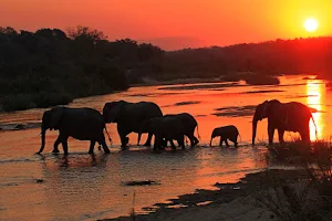 VOMBA TOURS & SAFARIS image