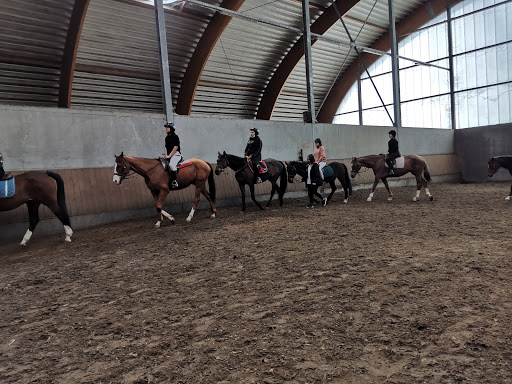 Manege Alberdienst