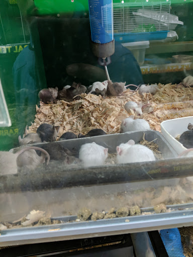 Pet Store «Sierra Fish and Pets», reviews and photos, 601 S Grady Way Suite M, Renton, WA 98057, USA