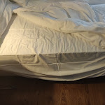 Photo n°2 de l'avis de anyway. fait le 22/08/2021 à 15:56 sur le  Sina Maria Luigia à Parma