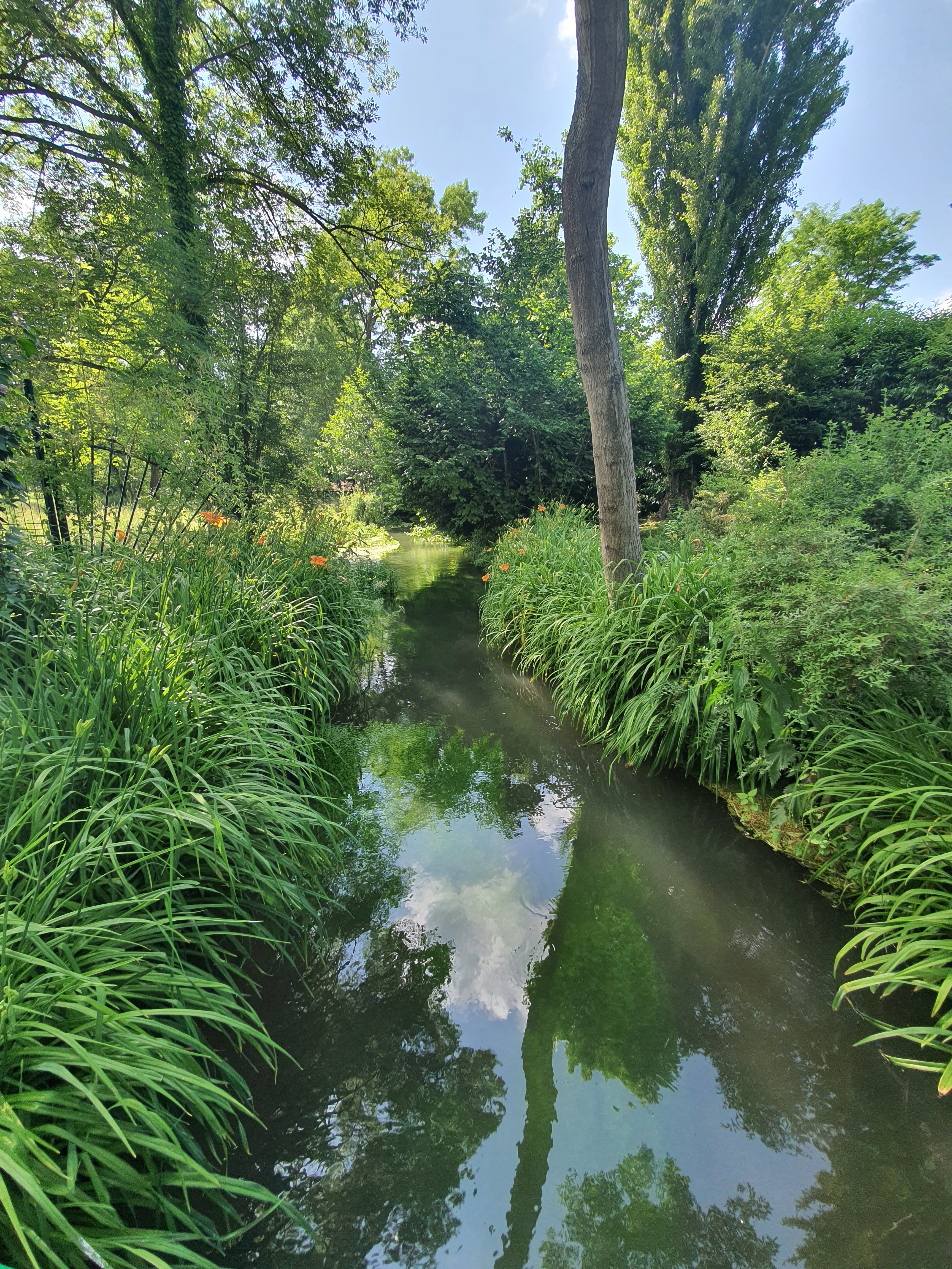 Photo n° 1 de l'avis de Chimene.a fait le 18/06/2021 à 22:36