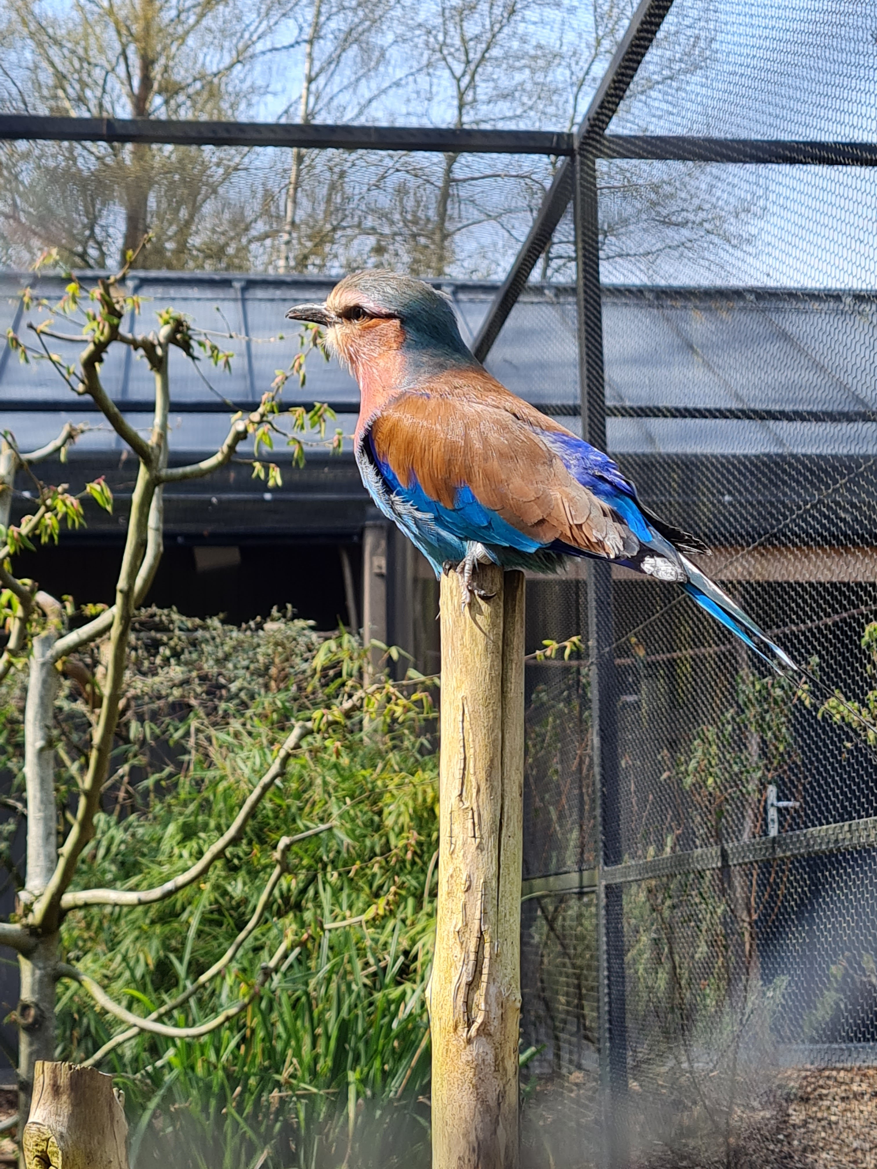 Photo n° 12 de l'avis de Stephanie.i fait le 07/05/2023 à 08:53