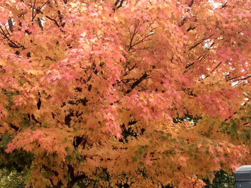 Park «Jergens Park», reviews and photos, 1615 Bruce Ave, Cincinnati, OH 45223, USA