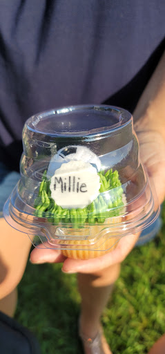 Restaurant «Ellacoya Barn & Grille», reviews and photos, 2667 Lake Shore Rd, Gilford, NH 03249, USA