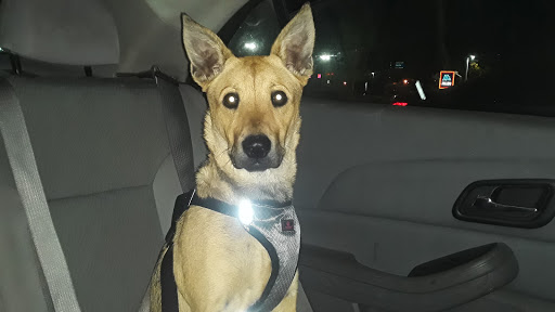 Pet Supply Store «Pet Supplies Plus», reviews and photos, 1616 Precinct Line Rd, Hurst, TX 76054, USA