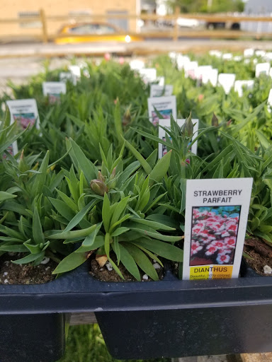 Florist «Lyndhurst Florist», reviews and photos, 5268 Mayfield Rd, Lyndhurst, OH 44124, USA