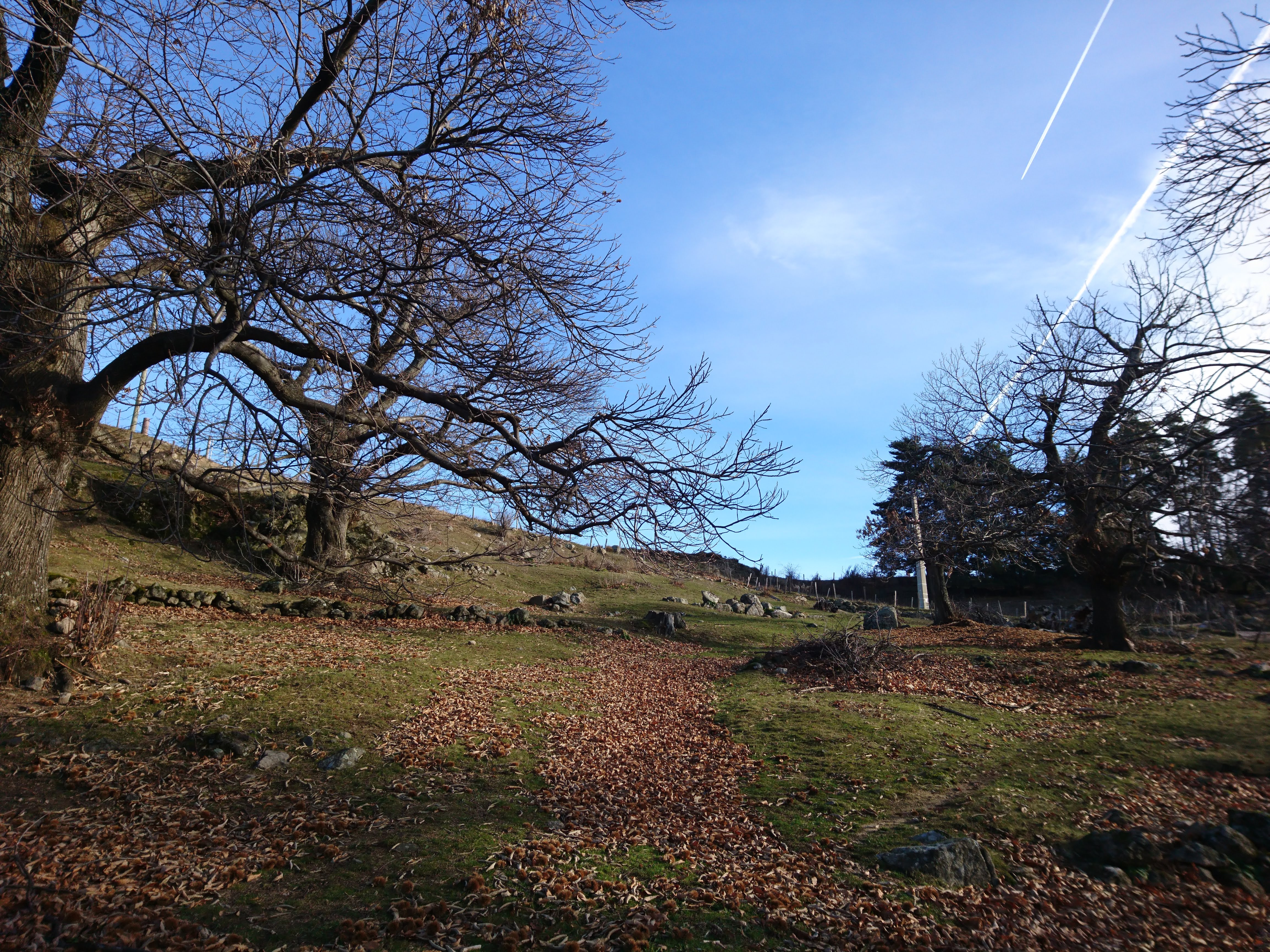 Photo n° 4 de l'avis de celia.t fait le 29/01/2019 à 11:23