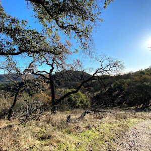 Shiloh Ranch Regional Park - review photo
