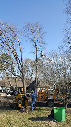 Golf Club «Cripple Creek Golf and Country Club», reviews and photos, 29494 Cripple Creek Rd, Dagsboro, DE 19939, USA