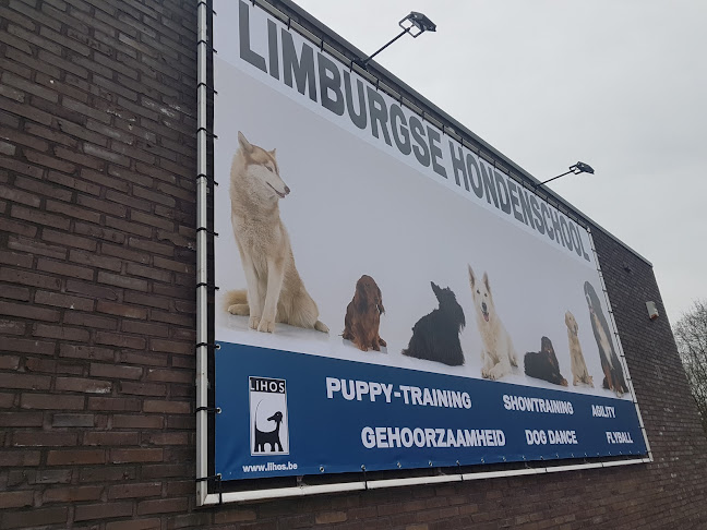 Limburgse hondenschool - Hondentrainer