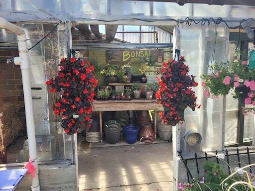 Plant Nursery «Goldner Walsh Garden and Home», reviews and photos, 559 Orchard Lake Rd, Pontiac, MI 48341, USA