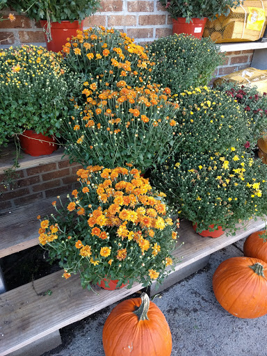 Grocery Store «Foodtown of Cold Spring», reviews and photos, 49 Chestnut St, Cold Spring, NY 10516, USA