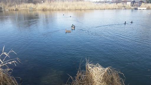 Nature Preserve «Wilson Springs Ponds», reviews and photos, 3209-3507 S Powerline Rd, Nampa, ID 83686, USA