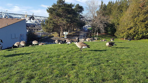 Park «Gas Works Park», reviews and photos, 2101 N Northlake Way, Seattle, WA 98103, USA