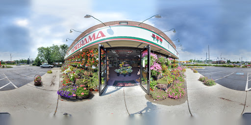 Florist «Flowerama Florist: Westerville», reviews and photos, 635 S State St, Westerville, OH 43081, USA