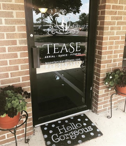 Dance School «Tease Dance & Fitness», reviews and photos, 4222 Meridian Pkwy, Aurora, IL 60504, USA
