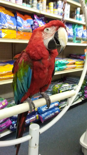 Tropical Fish Store «Midway Tropical Fish & Pets», reviews and photos, 24101 Pacific Hwy S, Kent, WA 98032, USA