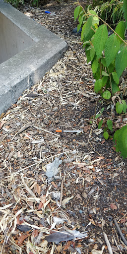 Park «Hing Hay Park», reviews and photos, 423 Maynard Ave S, Seattle, WA 98104, USA