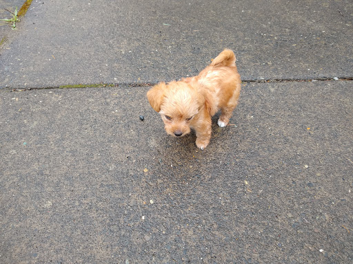 Woodland Veterinary Hospital image