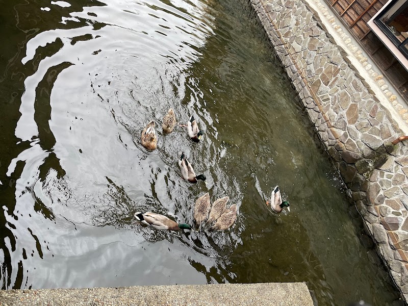 南阿蘇俵山温泉 旅館みな和 熊本県南阿蘇村河陰 旅館 宿泊施設 グルコミ