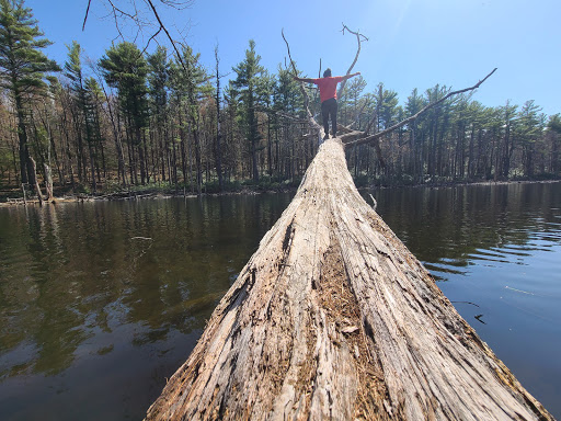 State Park «Wachusett Mountain State Reservation», reviews and photos, 345 Mountain Rd, Princeton, MA 01541, USA