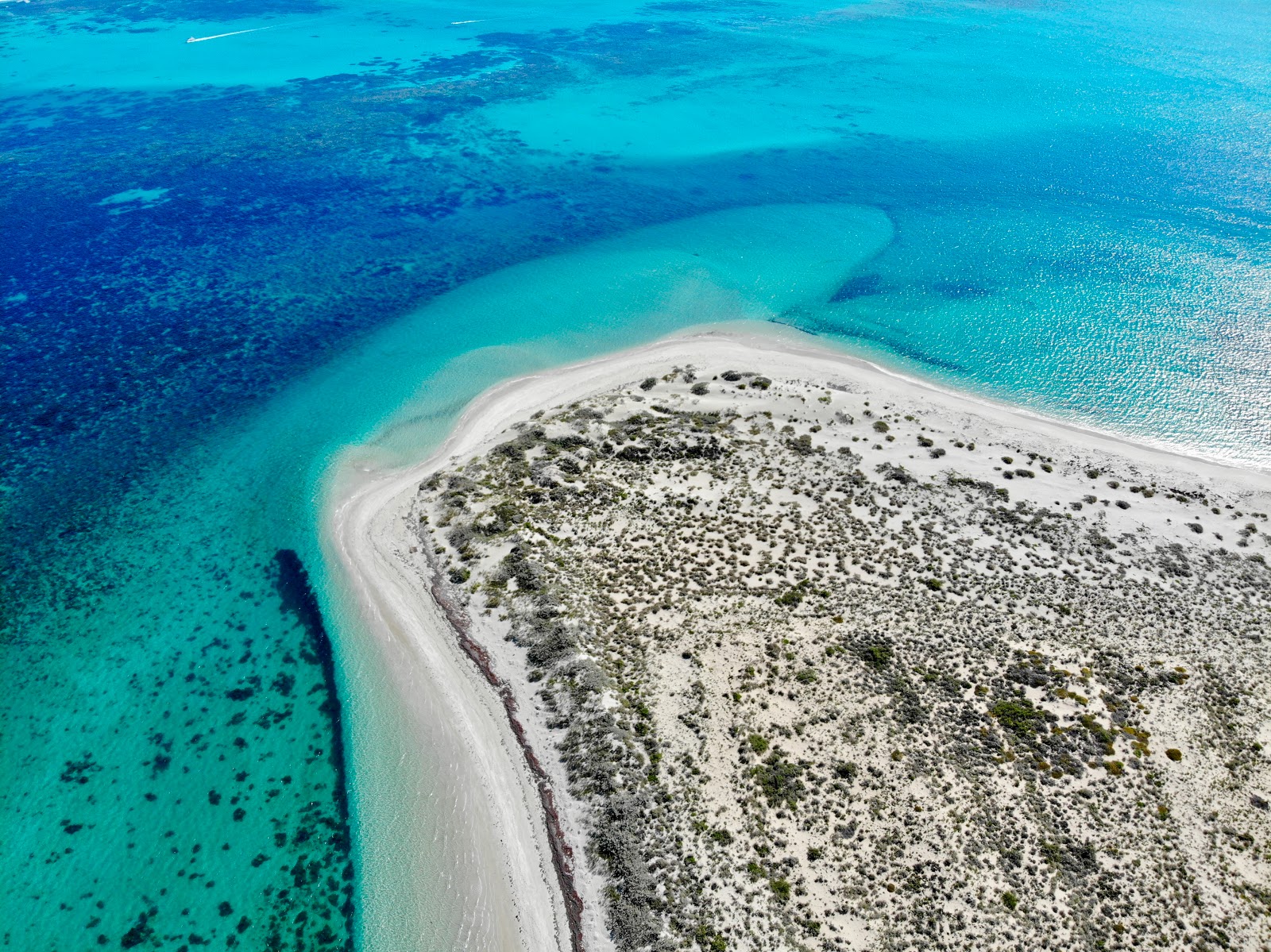 Foto van Skeleton Beach met recht en lang
