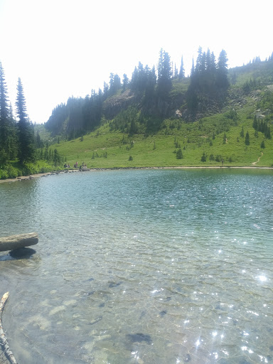 Zoo «Cougar Mountain Zoo», reviews and photos, 19525 SE 54th St, Issaquah, WA 98027, USA