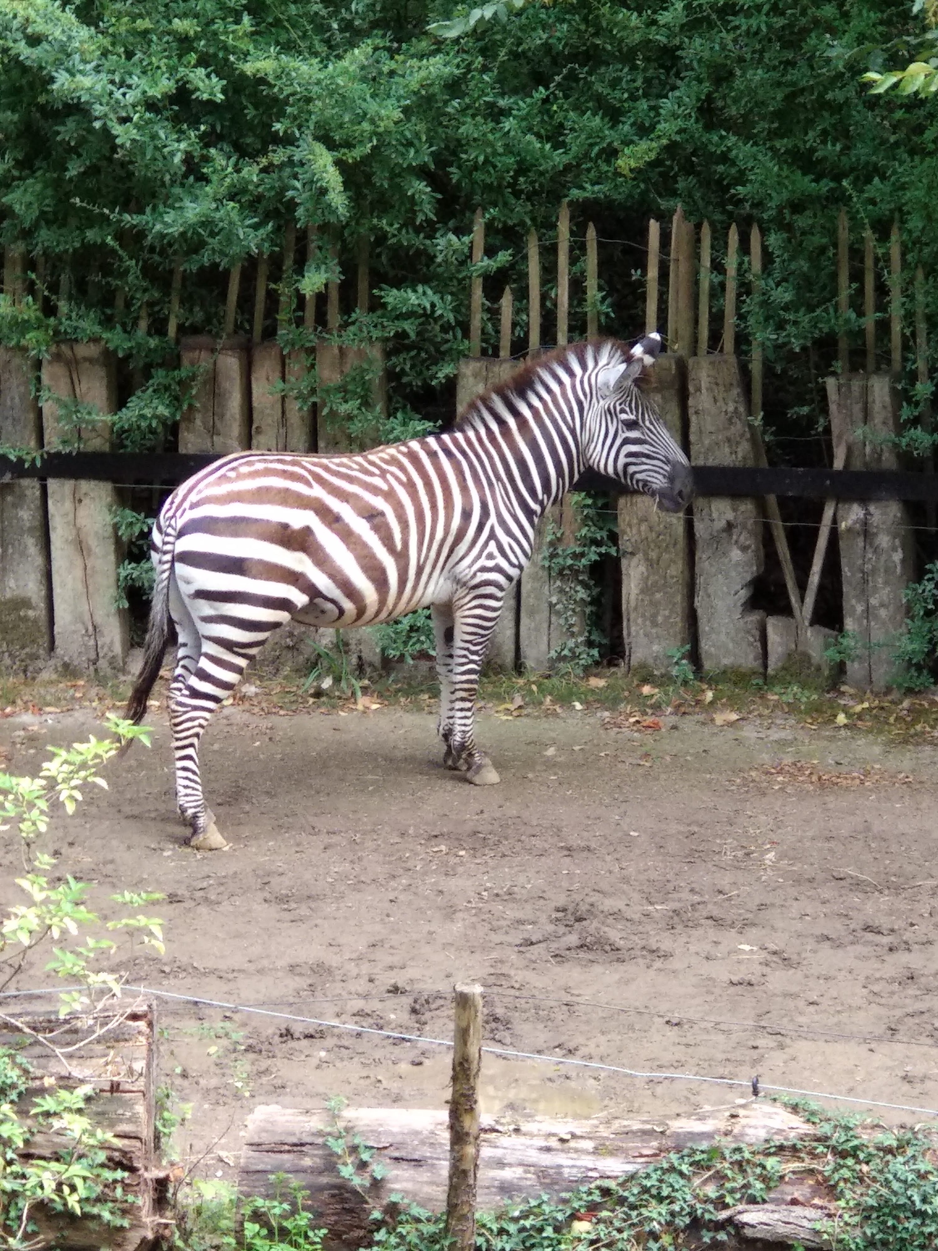 Photo n° 11 de l'avis de Xavier. fait le 10/08/2018 à 16:35