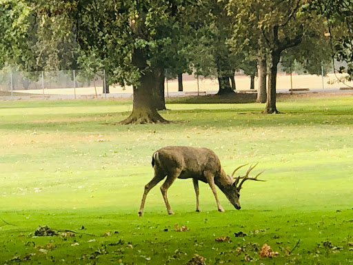 Golf Course «Ancil Hoffman Golf Course», reviews and photos, 6700 Tarshes Dr, Carmichael, CA 95608, USA