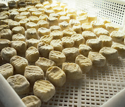 Nudelbude Pasta Manufaktur photo