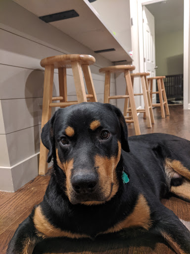 Pet Supply Store «Pet Supplies Plus», reviews and photos, 3040 Cromer Ave NW, Canton, OH 44709, USA